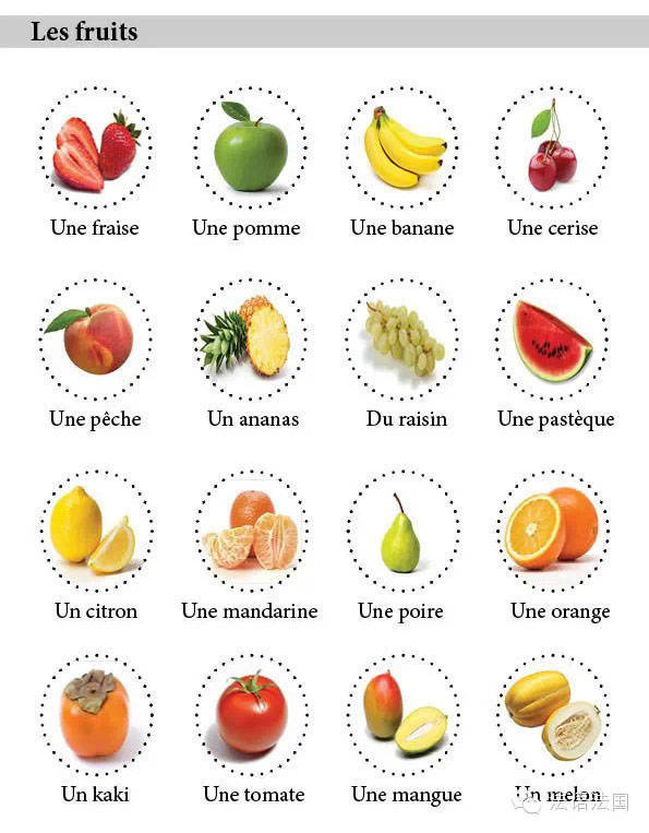 法语法国词典-"fruit"的意思 "fruit"怎么读 "fruit"